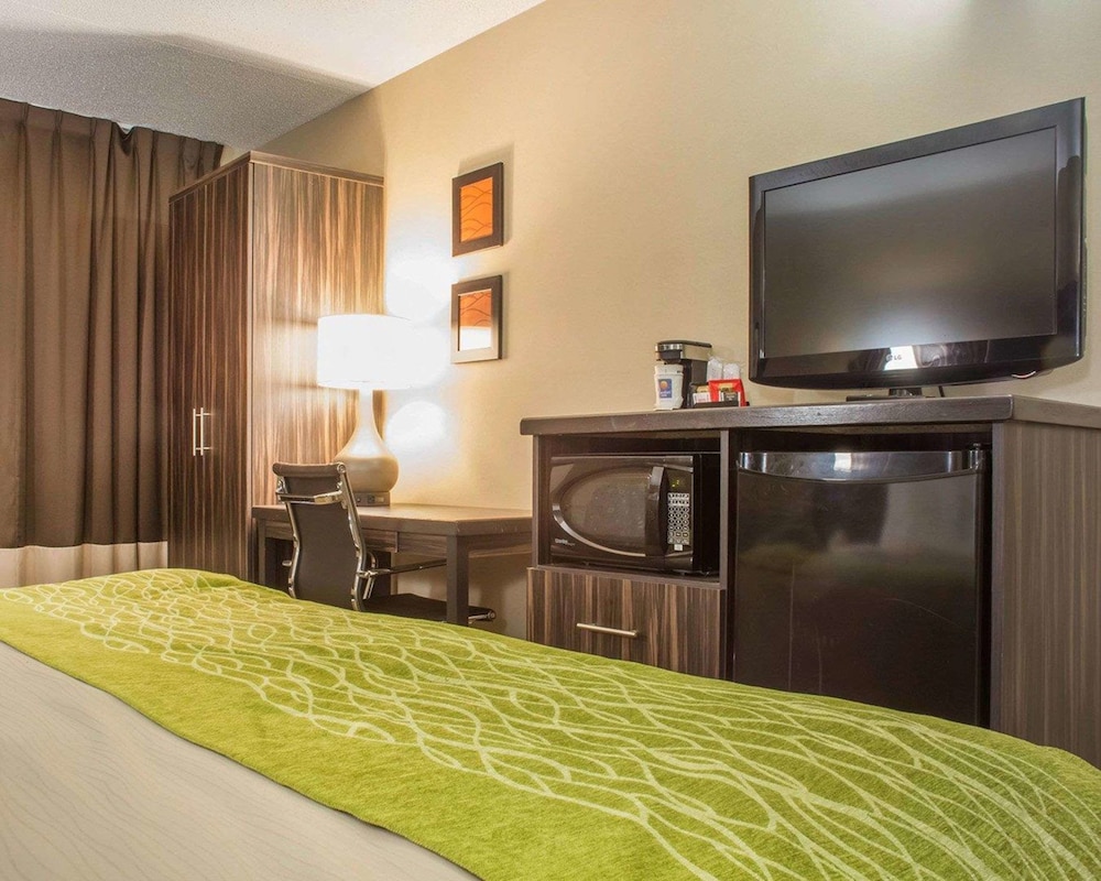 Standard Room, 1 King Bed, Non Smoking (No Pets Allowed) - Photo 8