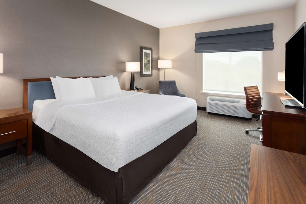 Room, 1 King Bed, Accessible, Bathtub (Roll-In Shower)