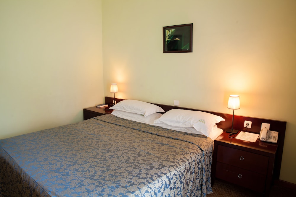 Deluxe Double Room photo 1