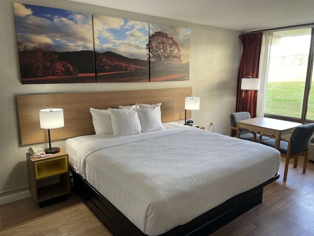 Standard Room, 1 King Bed, Accessible, Non Smoking (Mobility Accessible) photo 3