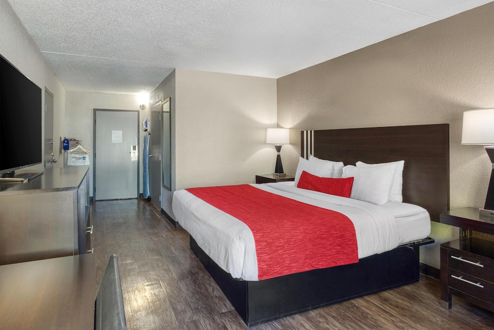 Standard Room, 1 King Bed, Accessible, Refrigerator & Microwave - Photo 1