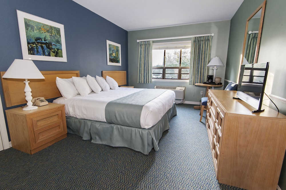 Standard Room, 1 King Bed photo 1