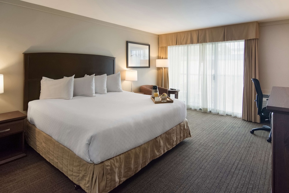 Standard Room, 1 King Bed, Accessible, Non Smoking