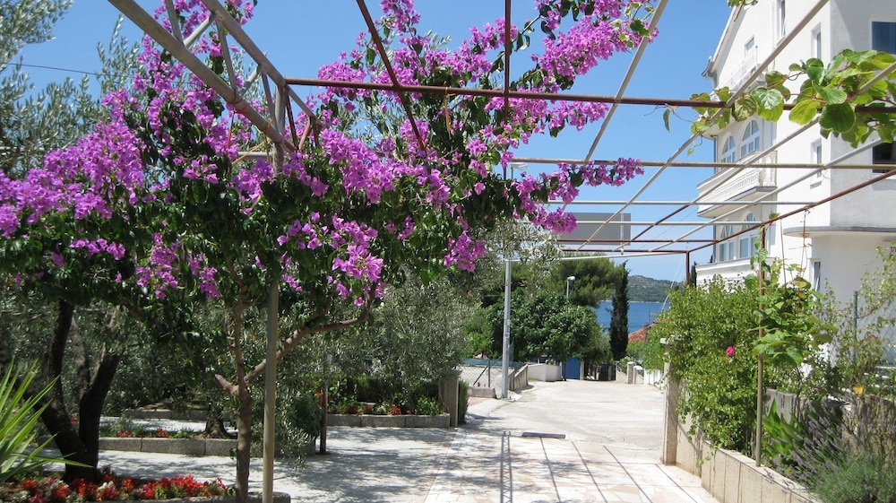 Apartment (Ljuba - nice garden - A1(2+2)) photo 2