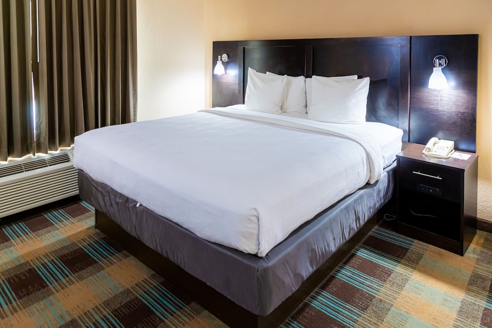 Standard Room, 1 King Bed, Accessible, Non Smoking (Walk-In Shower) - Photo 1