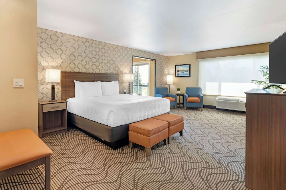 Suite, 1 King Bed, Non Smoking, Balcony - Photo 3