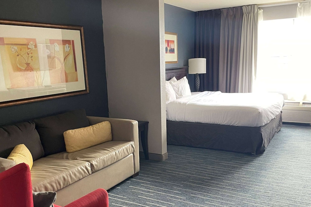Suite, 1 King Bed, Non Smoking photo 1