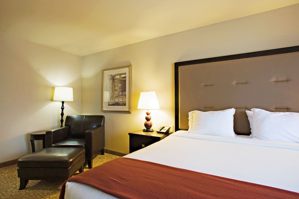 Suite, 1 King Bed, Accessible (Comm, Accessible Tub) - Photo 1