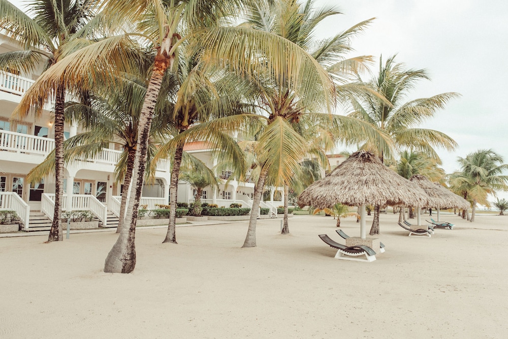 Room, 1 King Bed, Beachfront photo 2