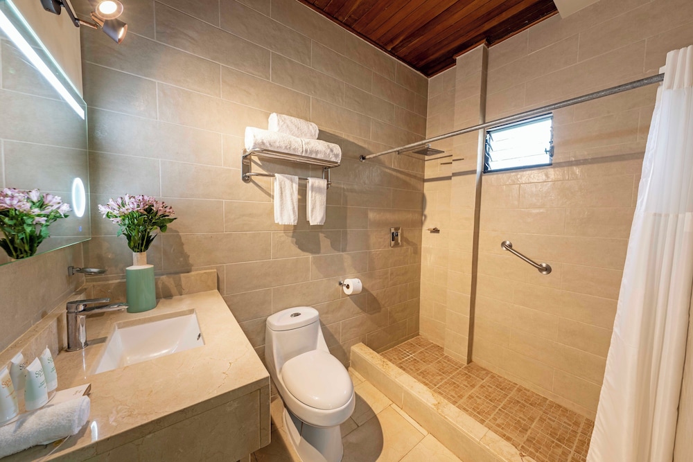 1 King Bed, Premium Room Balcony - Photo 6