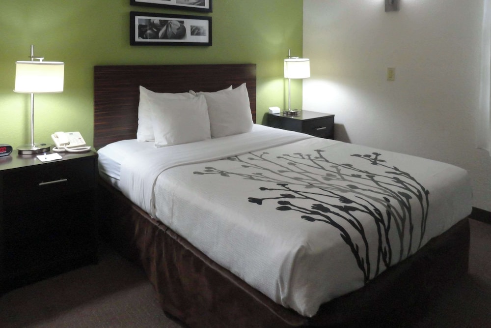 Room, 1 Queen Bed, Accessible, Non Smoking - Photo 1