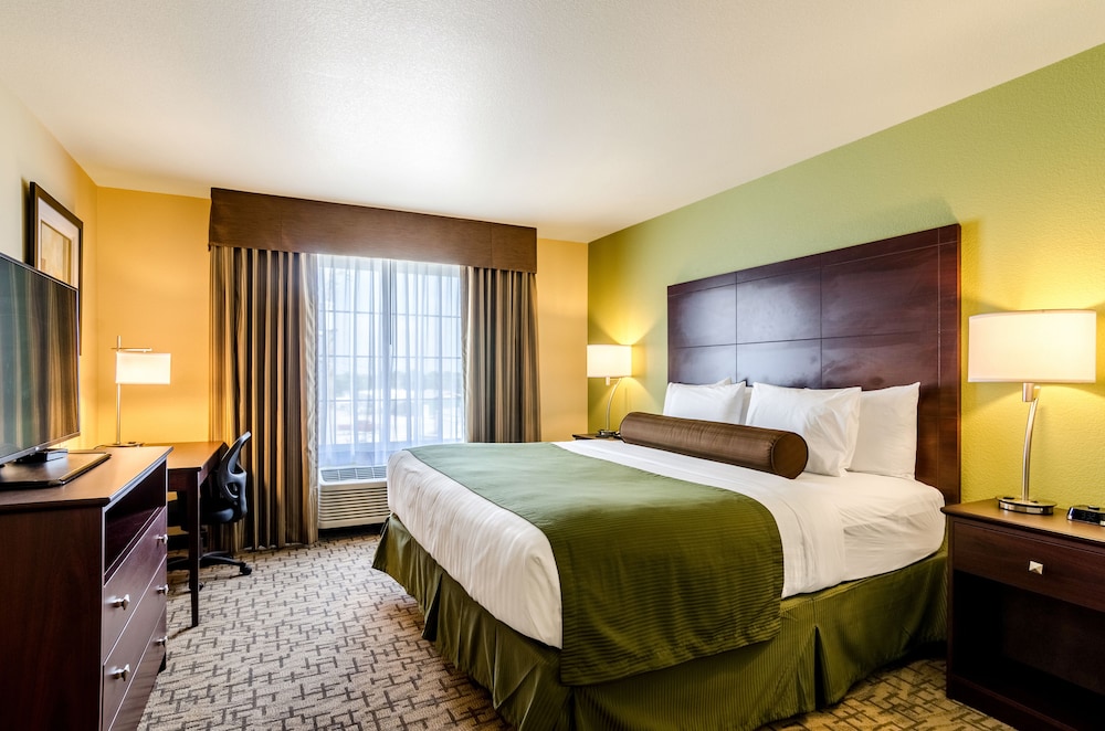 Room, 1 King Bed, Non Smoking photo 1