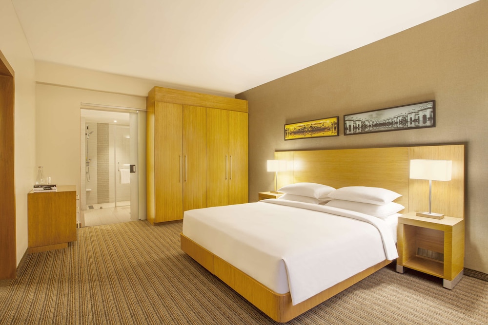 Suite, 1 King Bed with Sofa bed photo 3
