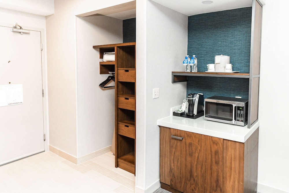 Room, 1 King Bed, Accessible, Bathtub (Mobility & Hearing) - Photo 4