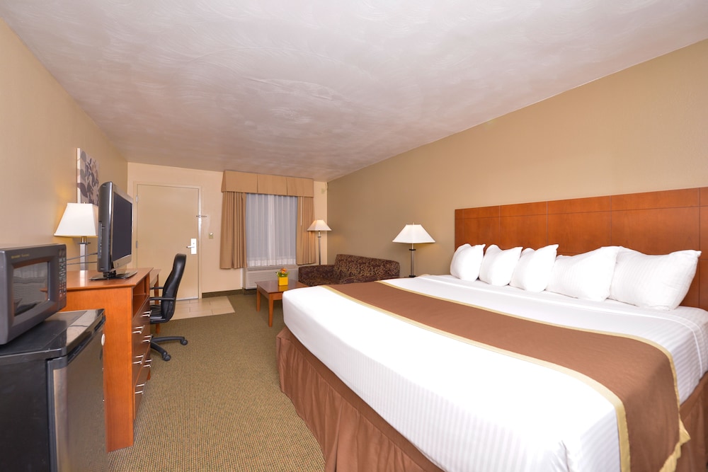 Suite, 1 King Bed, Non Smoking - Photo 9