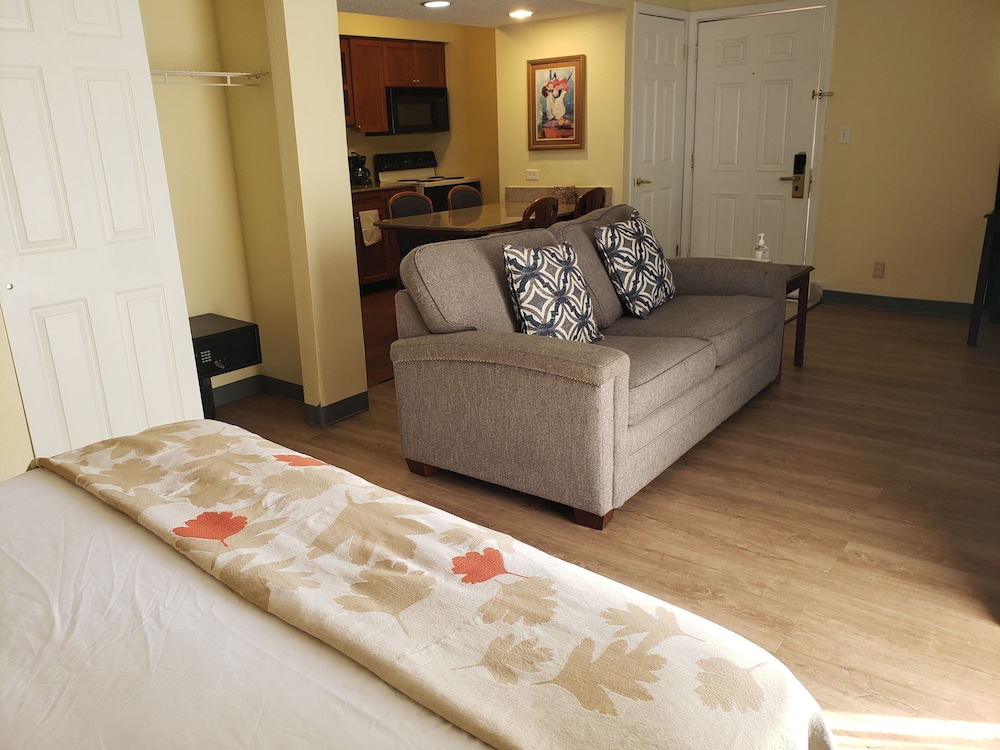 Studio Suite, 1 Queen Bed with Sofa bed, Non Smoking photo 2