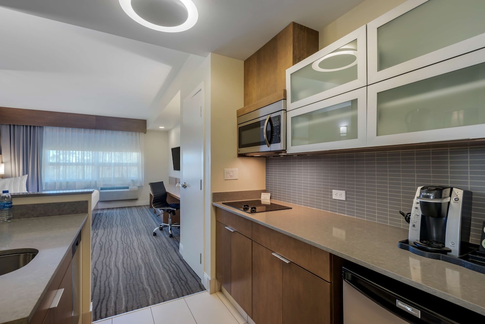 Suite, 1 King Bed, Non Smoking, Kitchenette (Shower Only) photo 2
