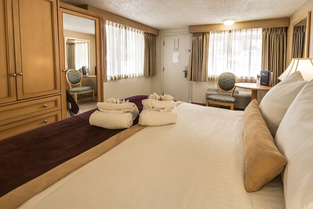 Standard Room, 1 King Bed, Mountain View photo 1