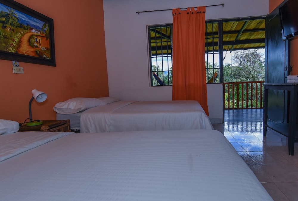 Standard Room, Mountain View photo 3