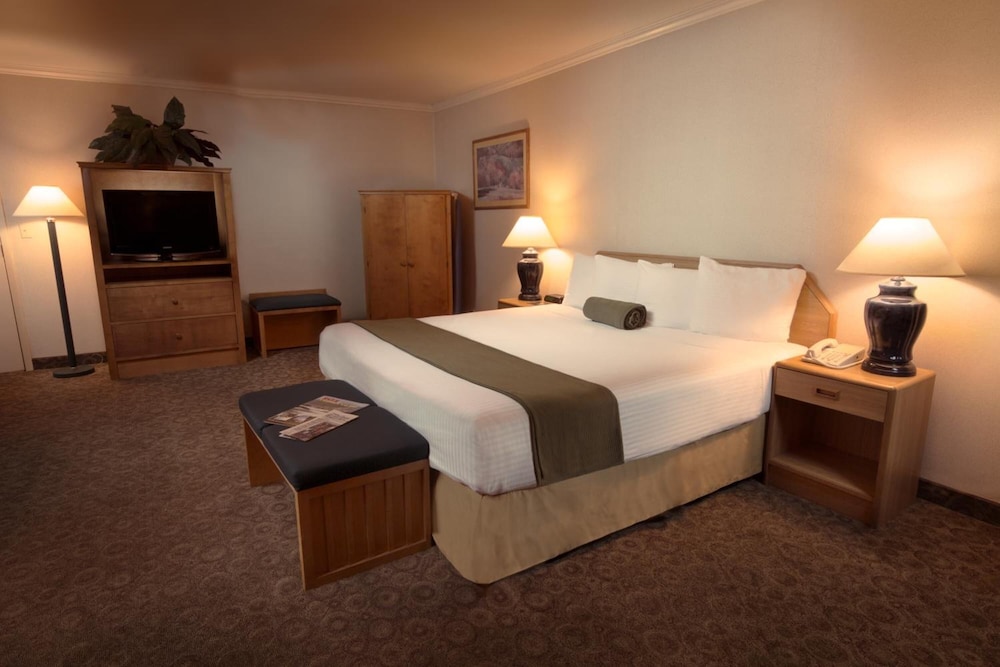 Exclusive Single Room photo 2
