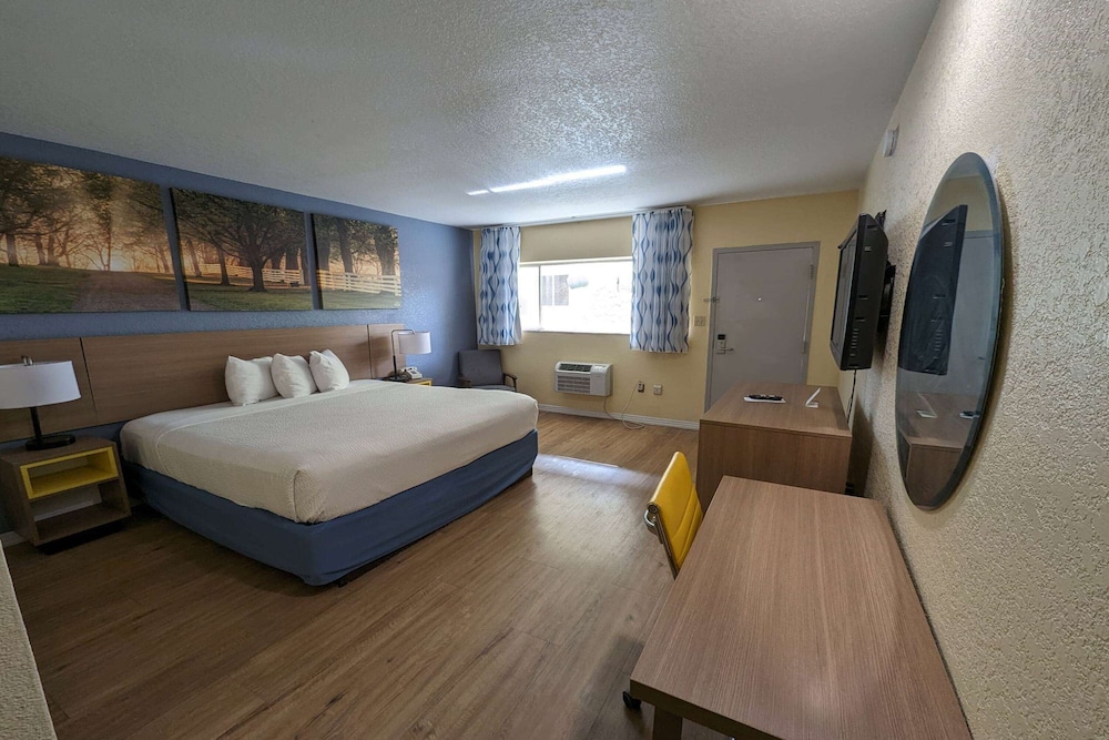 Room, 1 King Bed, Accessible, Non Smoking (Mobility/Hearing,Roll-In Shower) photo 1