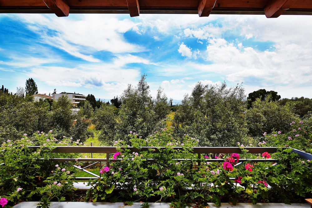 Deluxe Double or Twin Room, Garden View photo 3