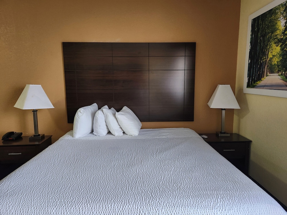 Deluxe Studio Suite, 1 King Bed, Non Smoking - Photo 5