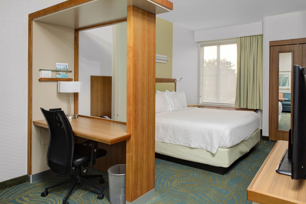 Suite, 1 King Bed with Sofa bed