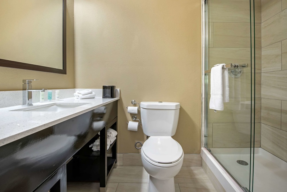 Standard Room, 1 King Bed, Non Smoking (Pet Friendly) - Photo 10