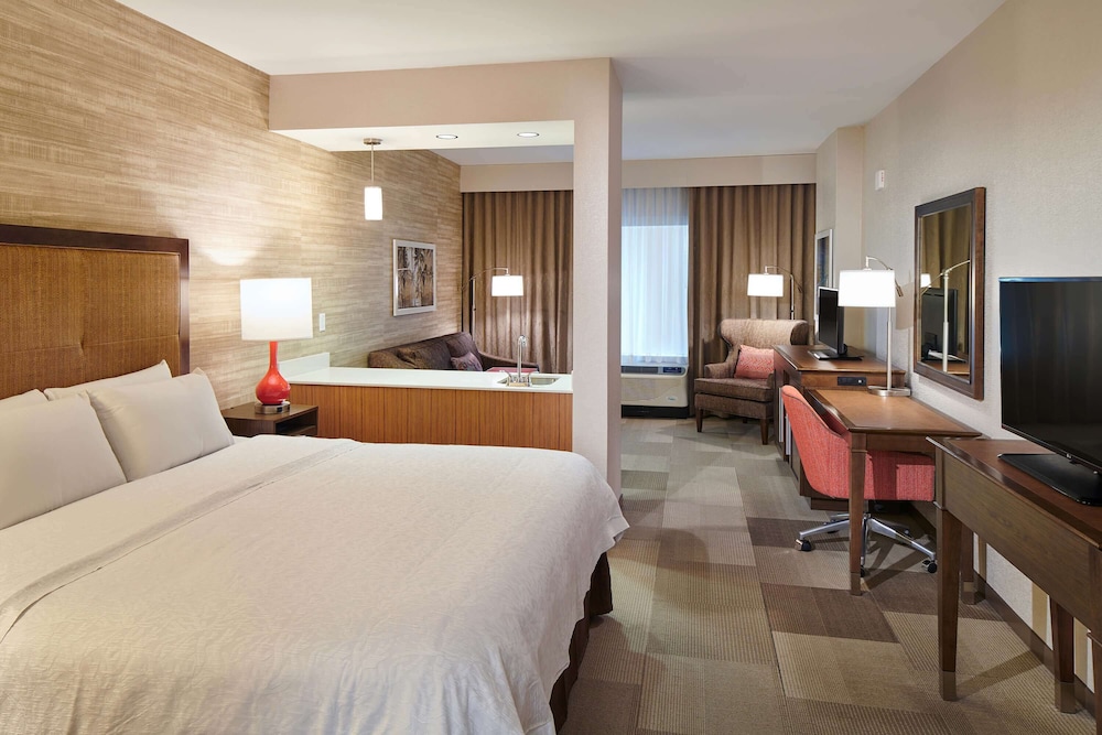 Room, 1 King Bed, Non Smoking, Refrigerator
