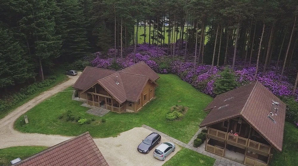 The Dorset Resort, 사진 9