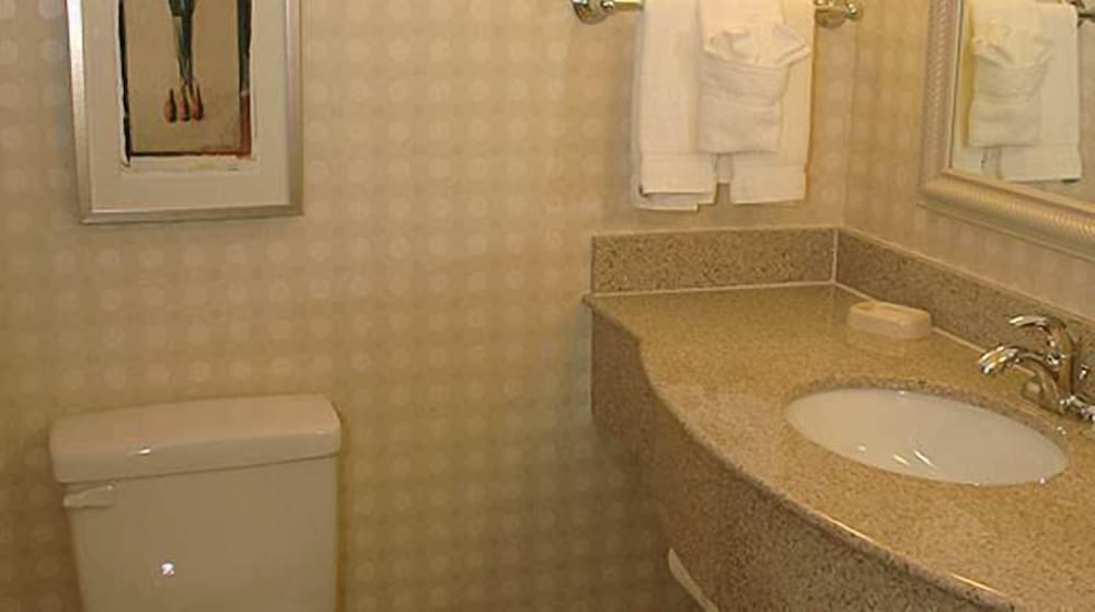 Junior Suite, 1 King Bed, Accessible, Bathtub
