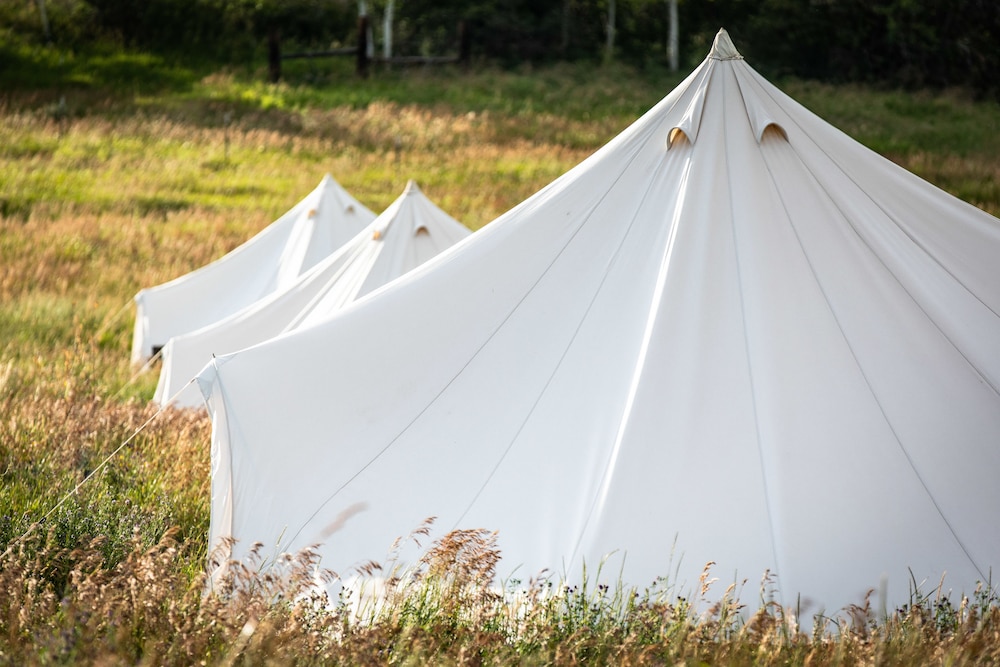 Traditional Tent with Electricity photo 2