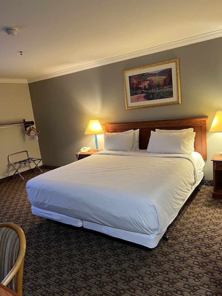 Standard Room, 1 King Bed, Accessible, Non Smoking photo 1