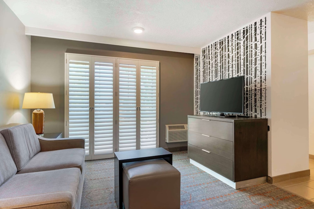 Suite, 1 King Bed, Non Smoking, Kitchenette (with Sofabed) - Photo 2