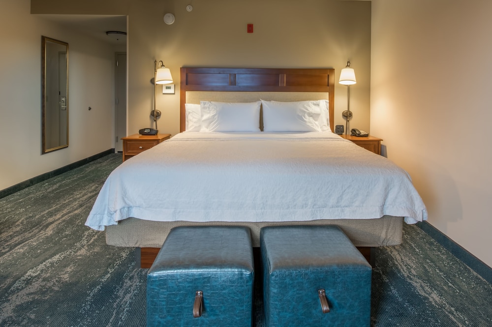 Room, 1 King Bed photo 2