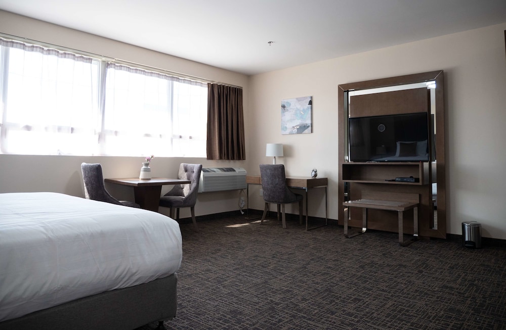 Suite, 1 King Bed, Non Smoking, Kitchen (with Sofabed, Full Kitchen) - Photo 3