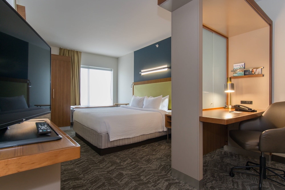 Studio Suite, 1 King Bed (Mobility/Hearing Accessible, Tub) - Photo 3
