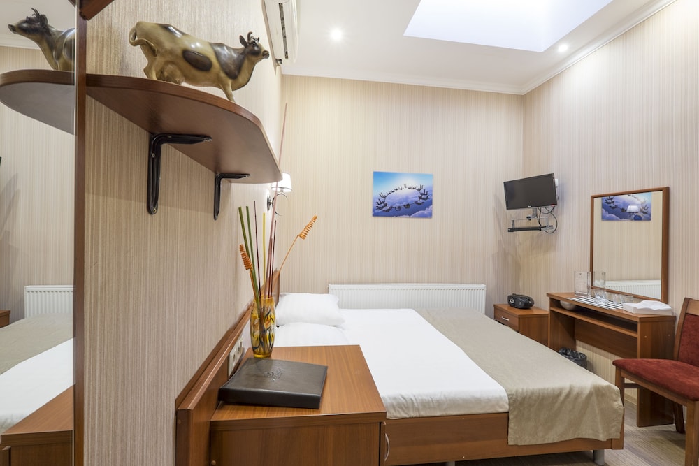 Comfort Double Room (Attic)