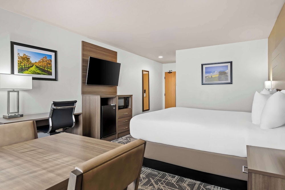 Standard Room, 1 King Bed, Non Smoking, Refrigerator & Microwave - Photo 3