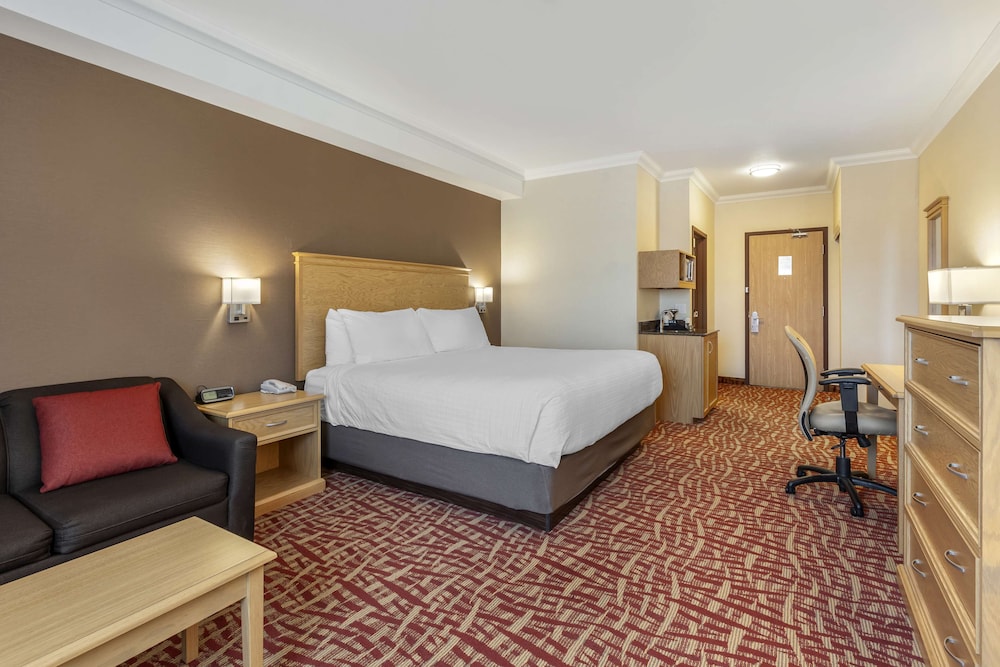 Standard Room, 1 King Bed, Non Smoking, Refrigerator (with Sofabed) photo 1