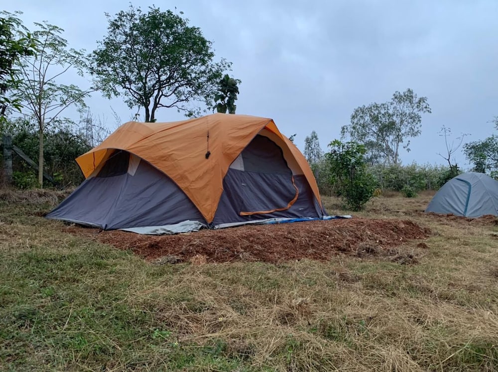 Basic Tent - Photo 3