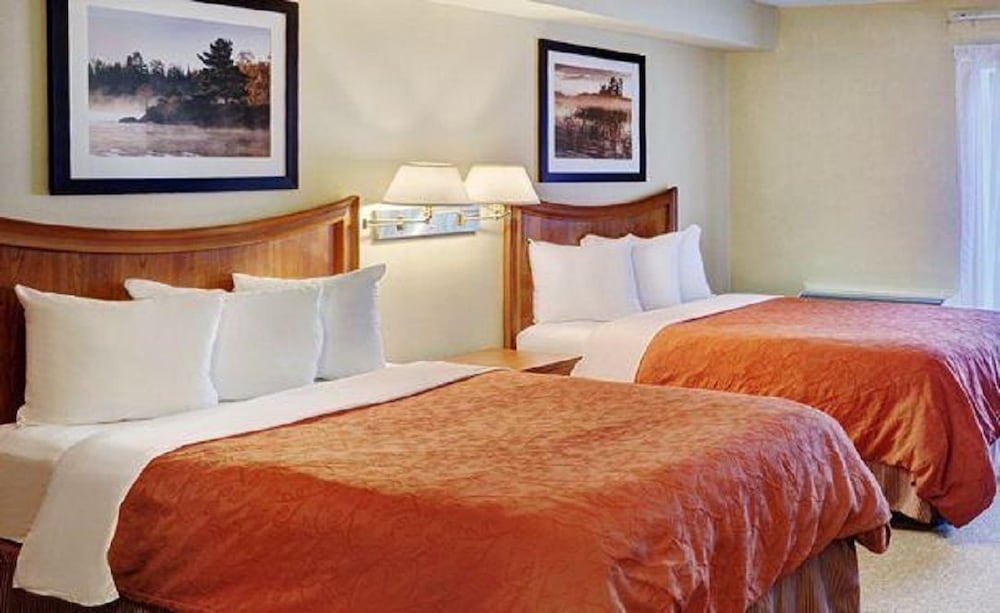 Standard Room, 2 Double Beds