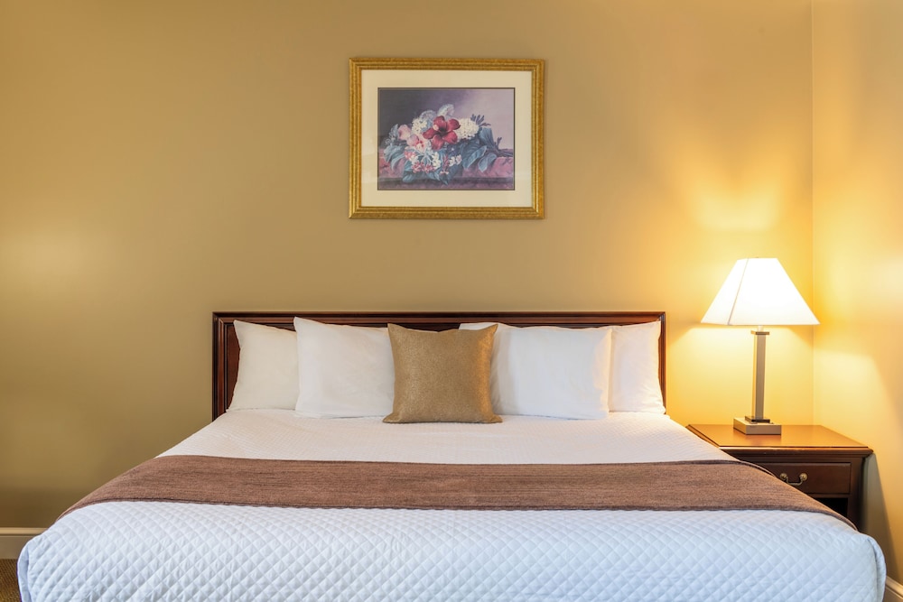 Select King Room photo 1