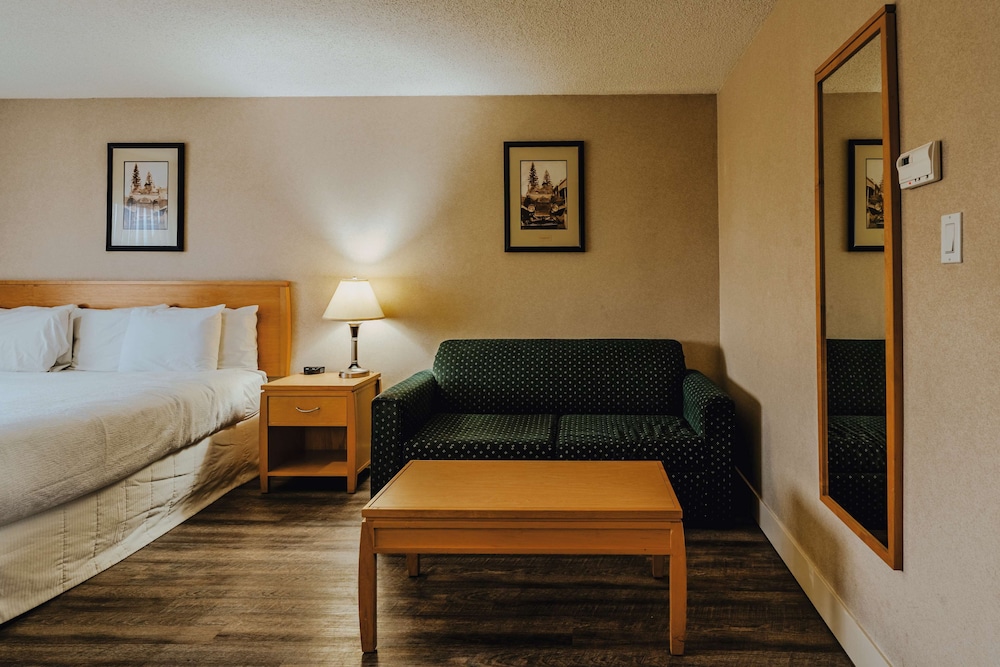 Standard Room, 1 King Bed, Non Smoking, Refrigerator & Microwave - Photo 6