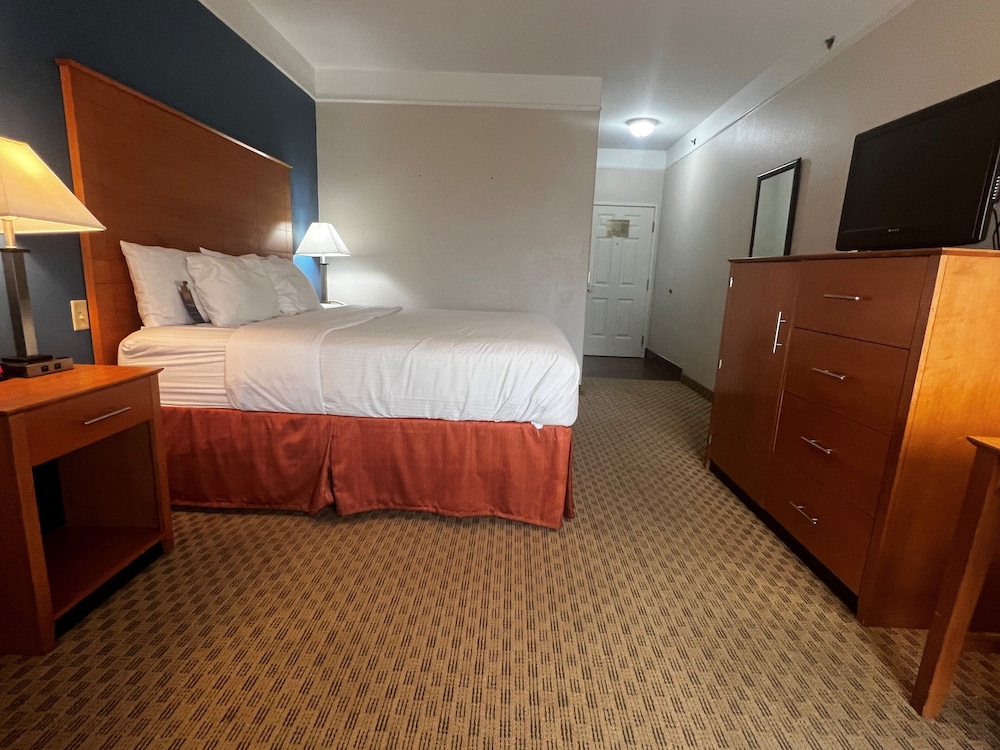 Room, 1 King Bed, Accessible, Non Smoking (Tub with Grab Bars) - Photo 4