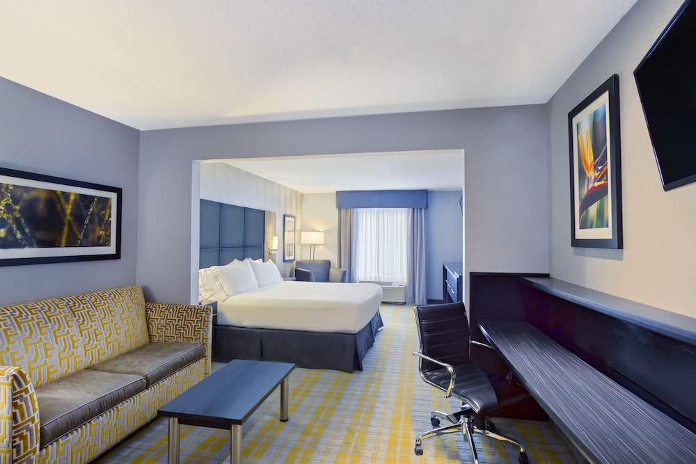 Suite, 1 King Bed - Photo 1