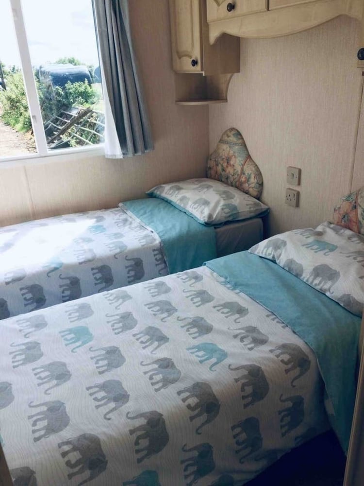 Cabin, Multiple Beds photo 3