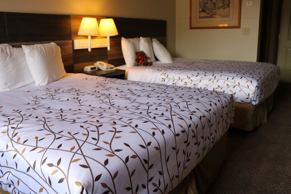Standard Loft, Multiple Beds, Mountain View photo 2