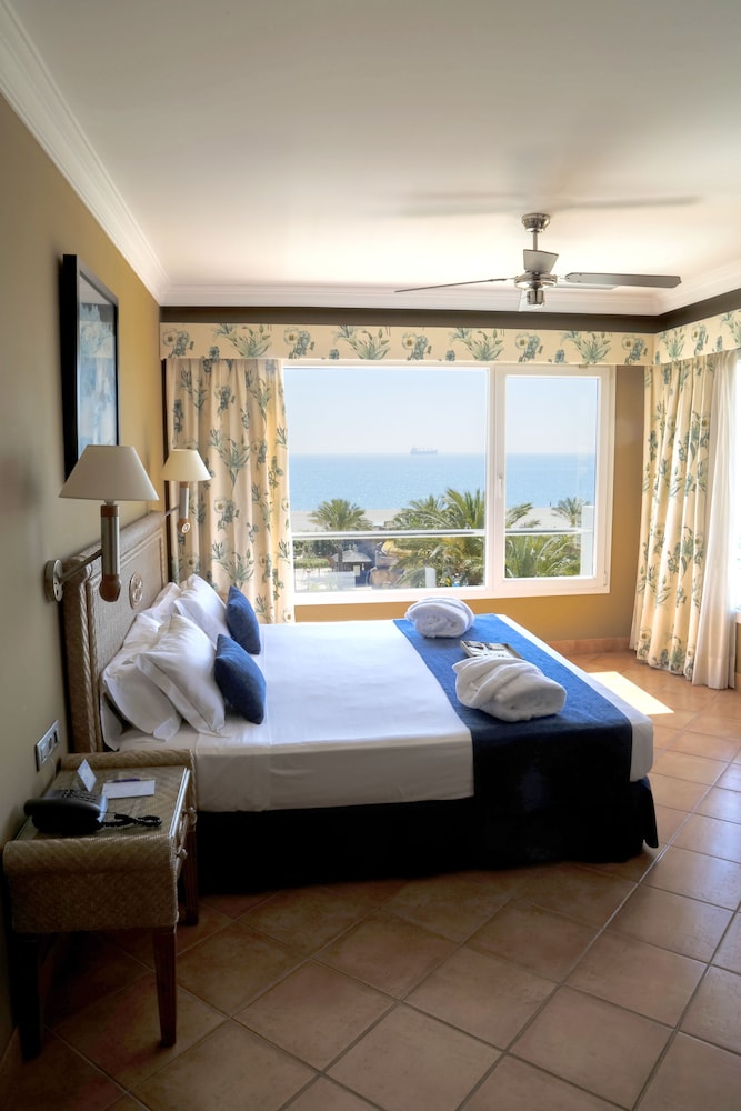 Suite, 1 Bedroom - Photo 4